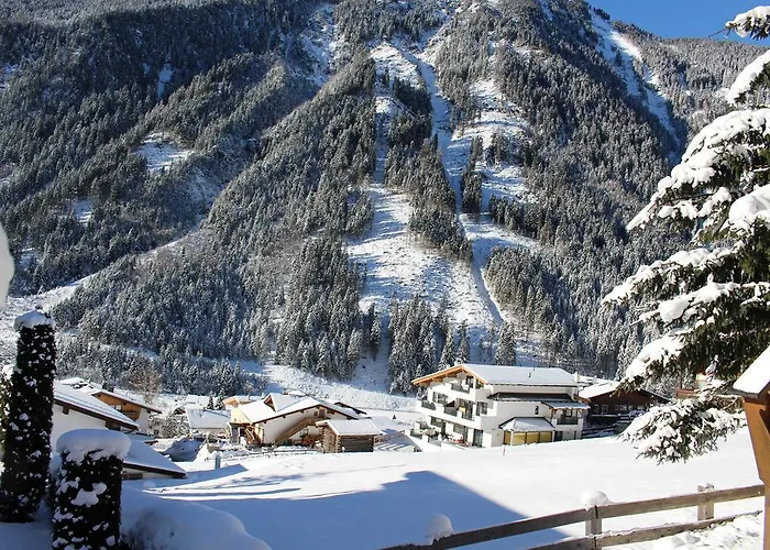 Aurora نيوستيف ام ستوبيتا