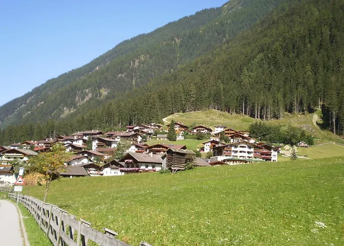 Aurora نيوستيف ام ستوبيتا